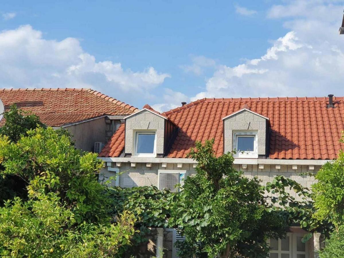 Apartamento Tirena *
