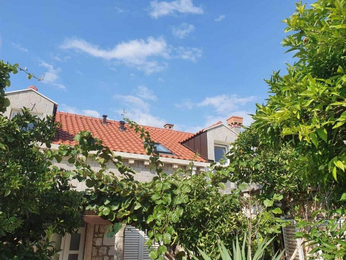 Tirena Apartamento